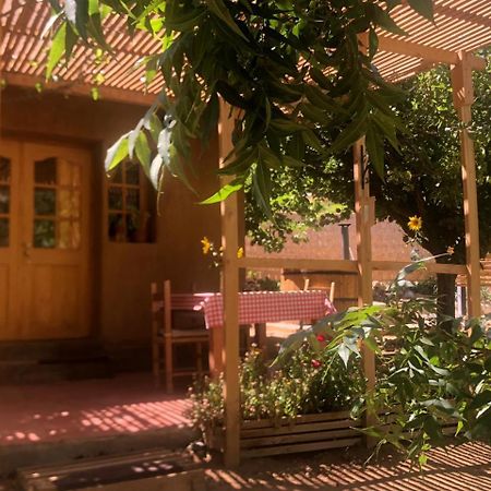 Puma Cottage Horcón Esterno foto