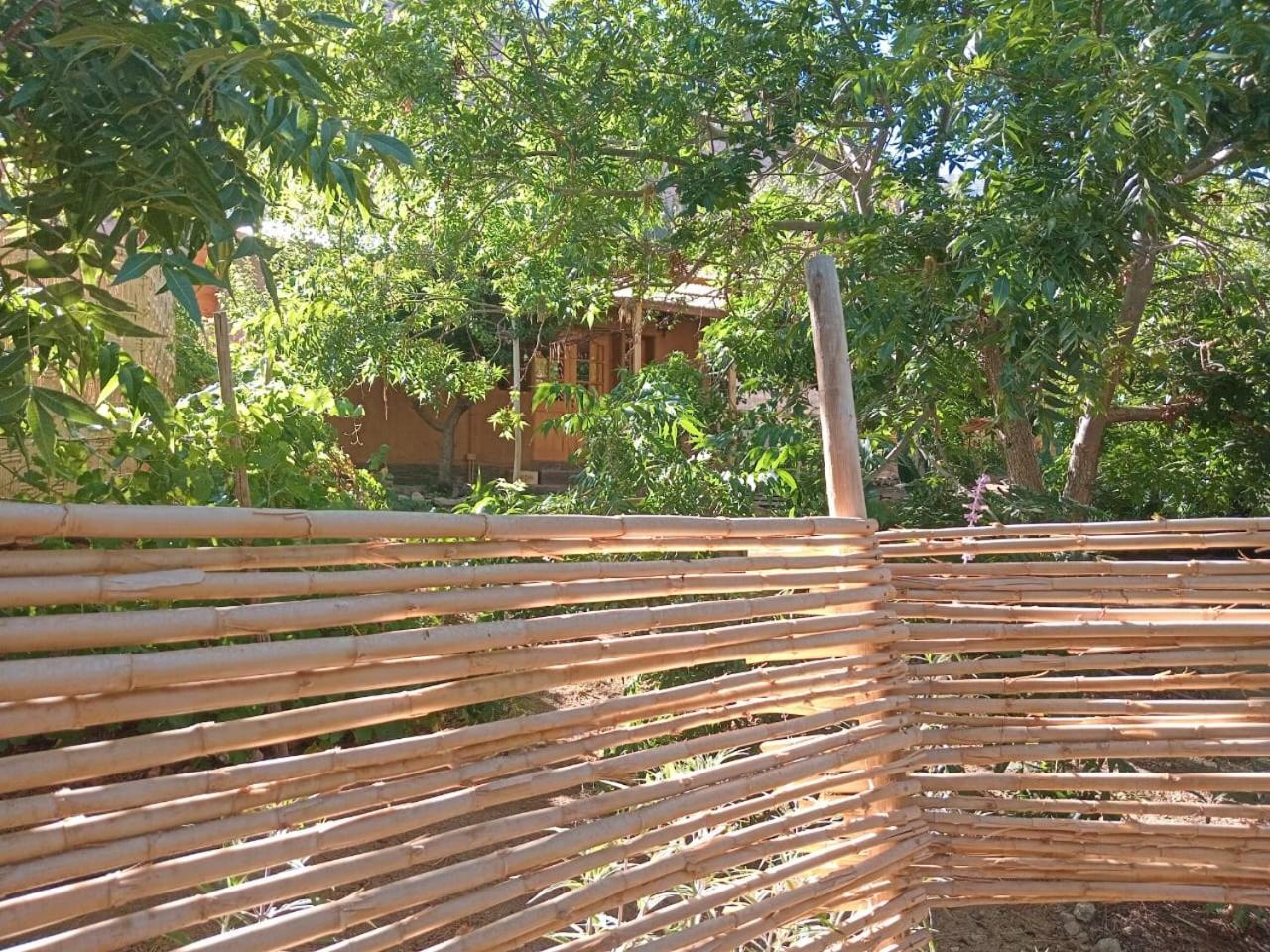 Puma Cottage Horcón Esterno foto